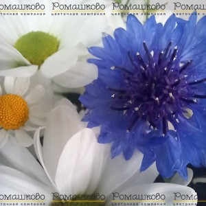 Превью Композиция «Букетная отправка»