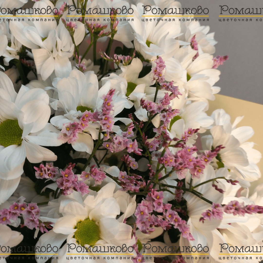 Букет из ромашек «Очарование ромашек»