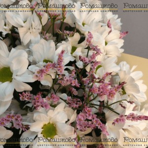 Превью Букет из ромашек «Очарование ромашек»