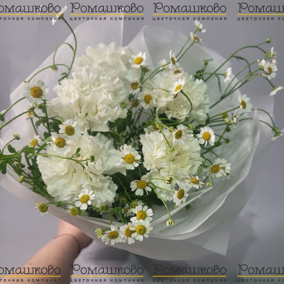 Мини - букет из гвоздик «Цветочное облако»