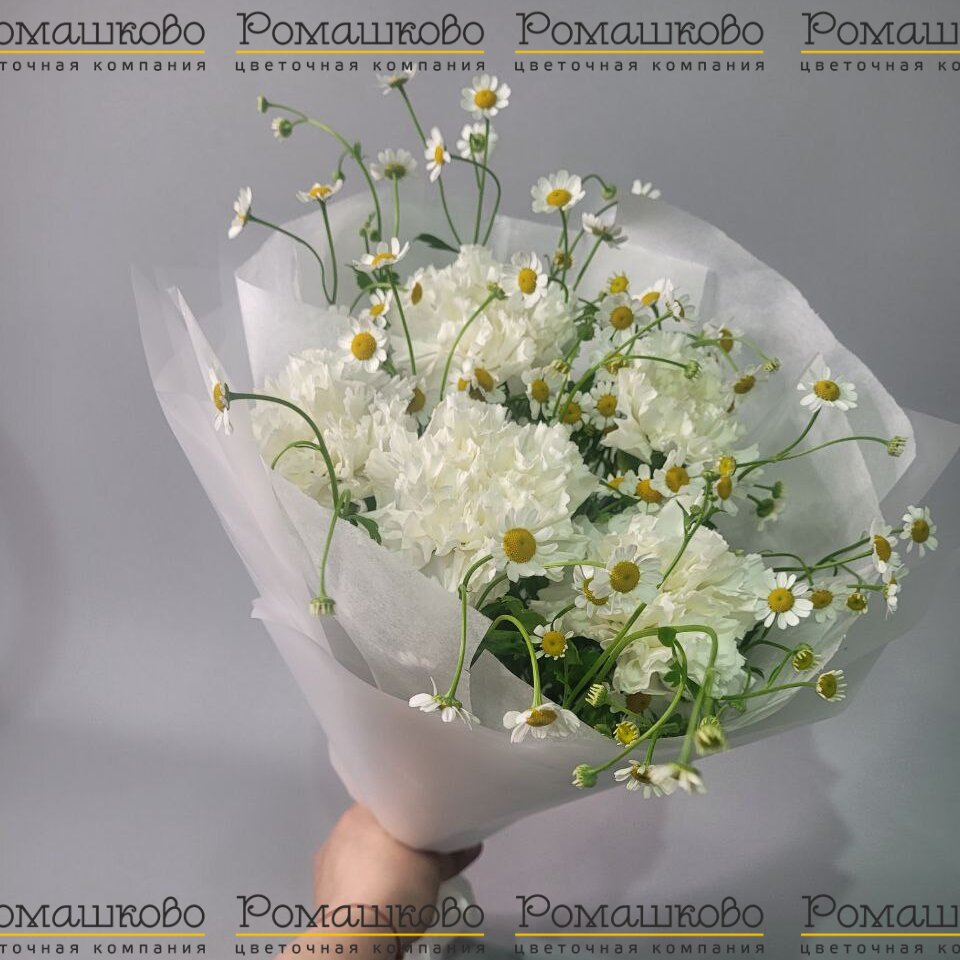 Мини - букет из гвоздик «Цветочное облако»