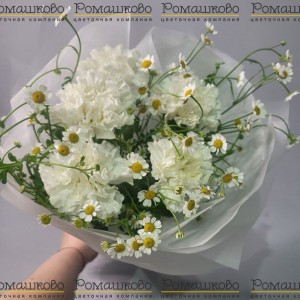 Превью Мини - букет из гвоздик «Цветочное облако»