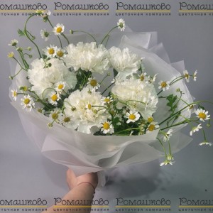 Превью Мини - букет из гвоздик «Цветочное облако»