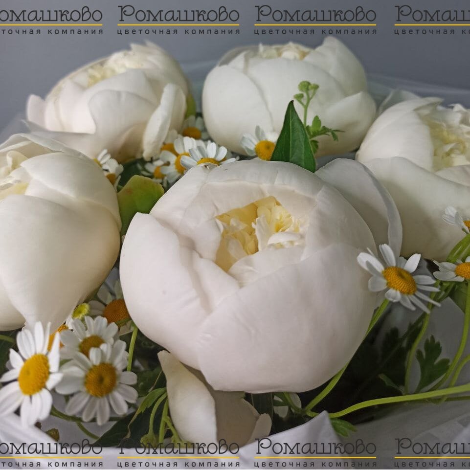 Букет из пионов «Искристый Букет из пионов»