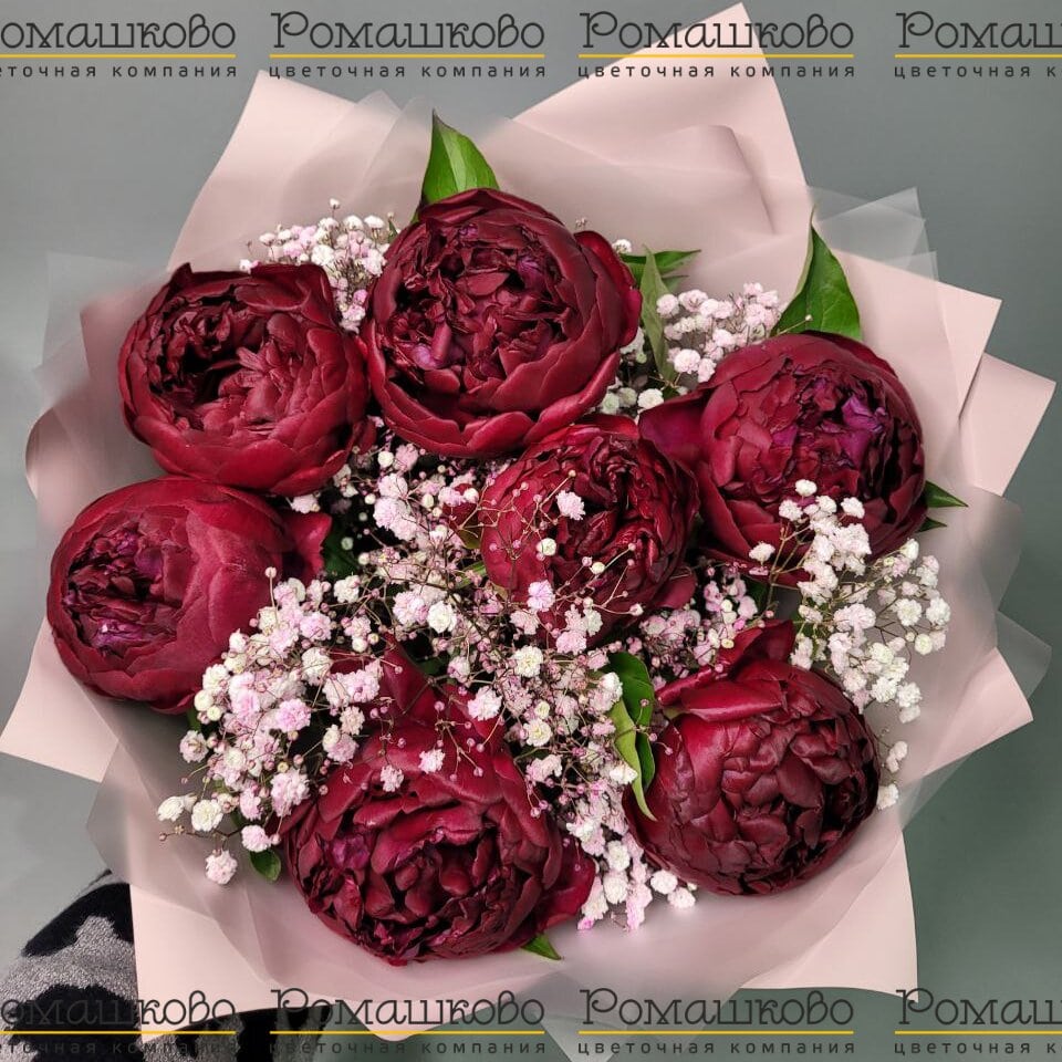 Букет из пионов «Семь бордовых пионов»