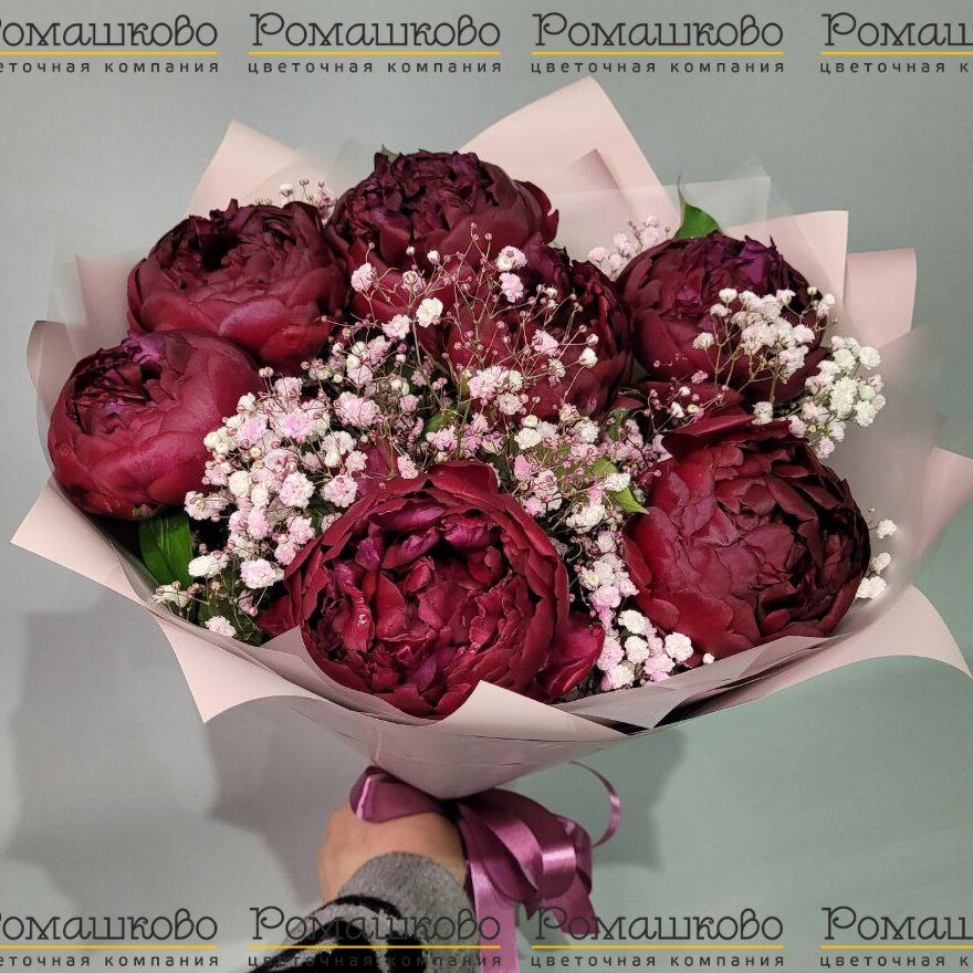Букет из пионов «Семь бордовых пионов»