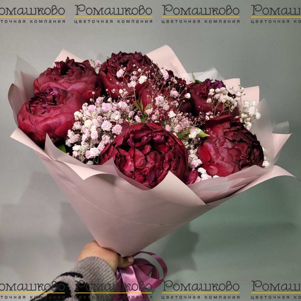 Букет из пионов «Семь бордовых пионов»