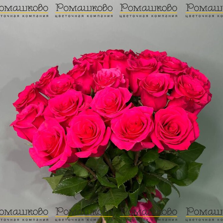 Букет из розы «Розанна»