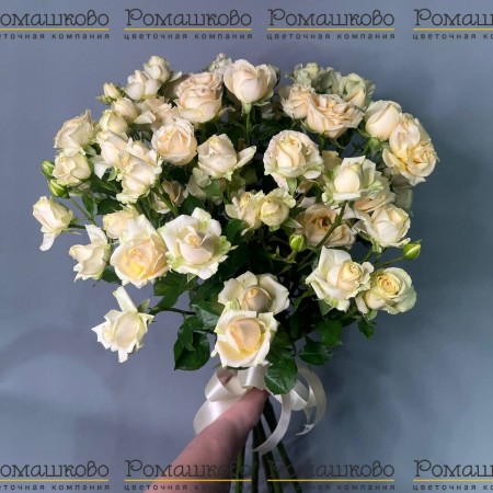 Букет из кустовых роз «Ваниль» за 3 660 - «Ромашково» в Красноярске