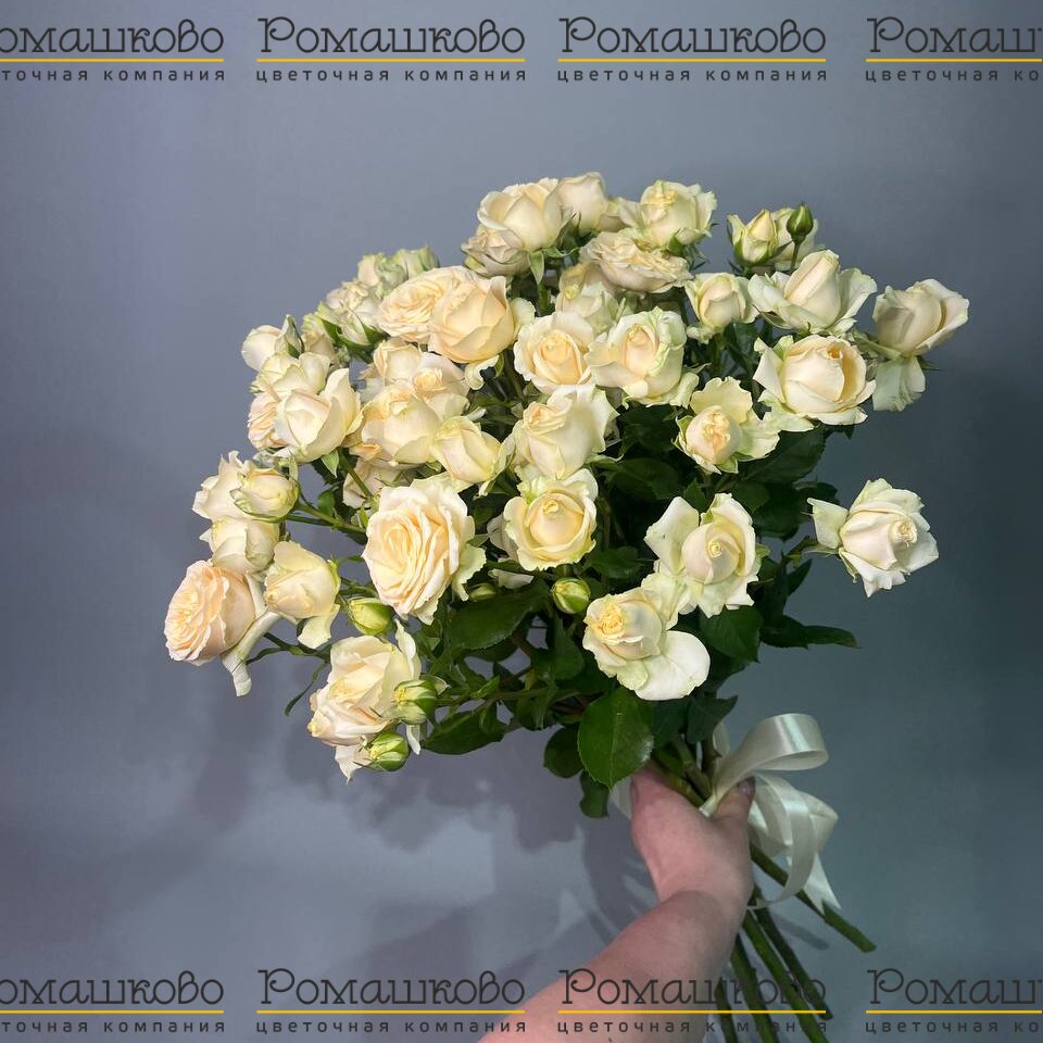 Букет из кустовых роз «Ваниль»
