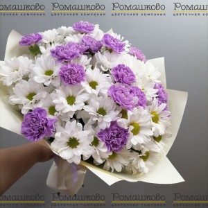 Превью Букет из гвоздик «Нежность лета»