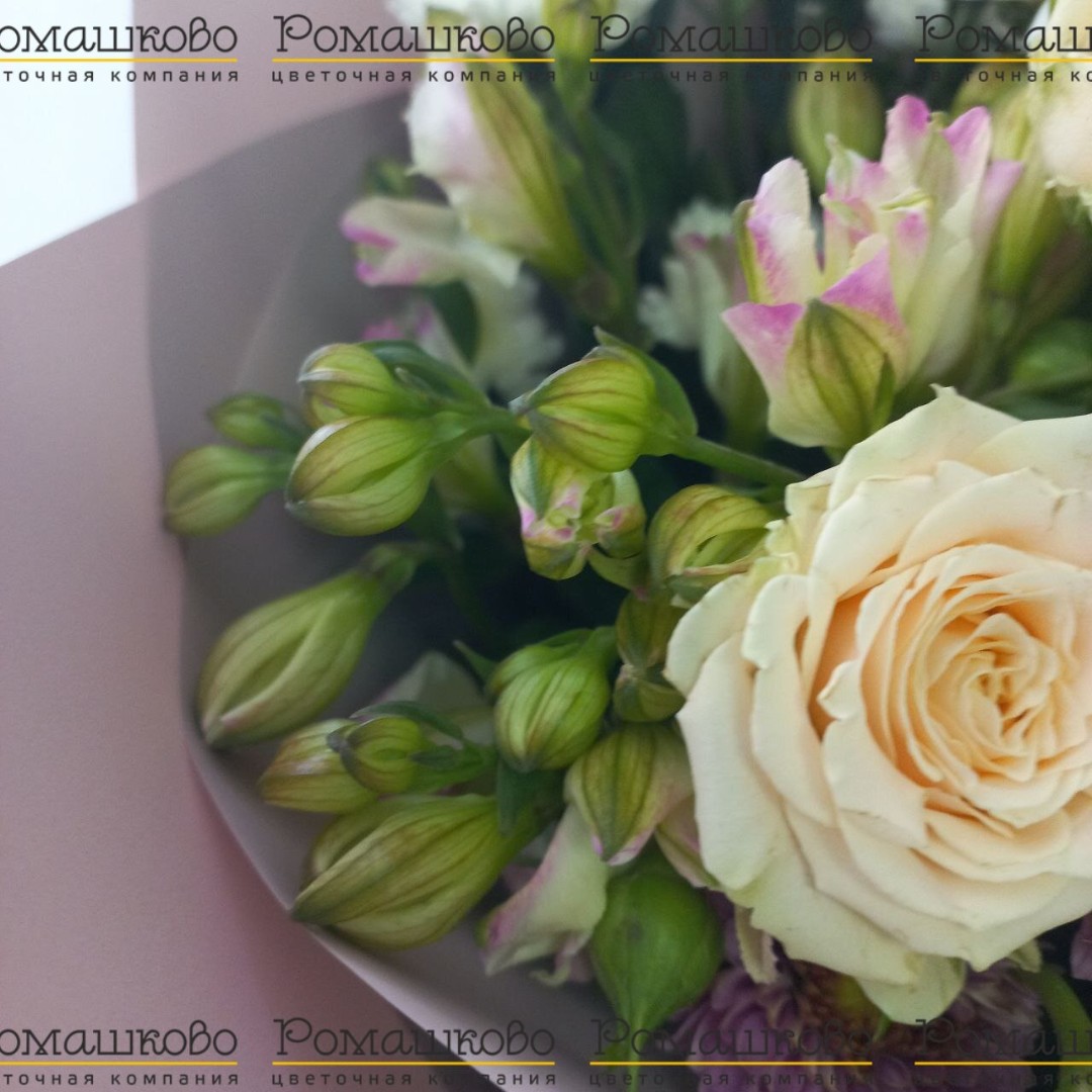 Букет из пионов «В объятиях»