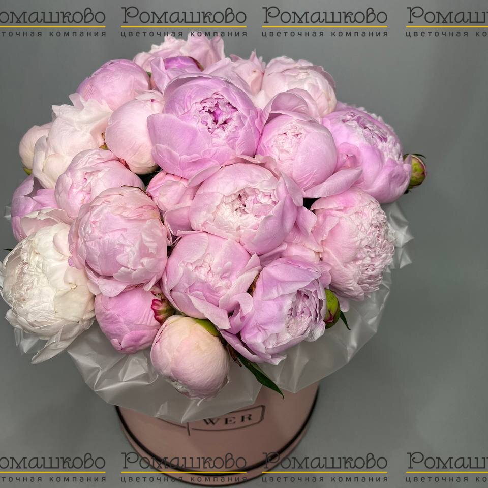 Букет из 21 Пион Сара Бернар в коробке «Пионы в коробке»