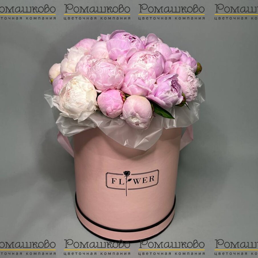 Букет из 21 Пион Сара Бернар в коробке «Пионы в коробке»