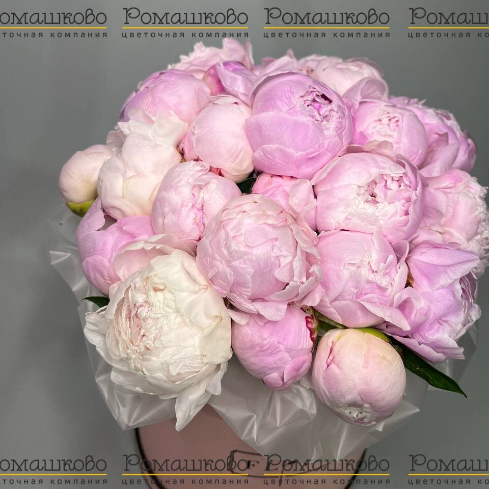 Букет из 21 Пион Сара Бернар в коробке «Пионы в коробке»