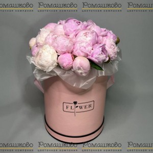 Превью Букет из 21 Пион Сара Бернар в коробке «Пионы в коробке»