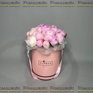 Превью Букет из 21 Пион Сара Бернар в коробке «Пионы в коробке»