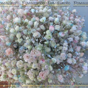 Превью Букет из сухоцветов «Сухоцветный рай»