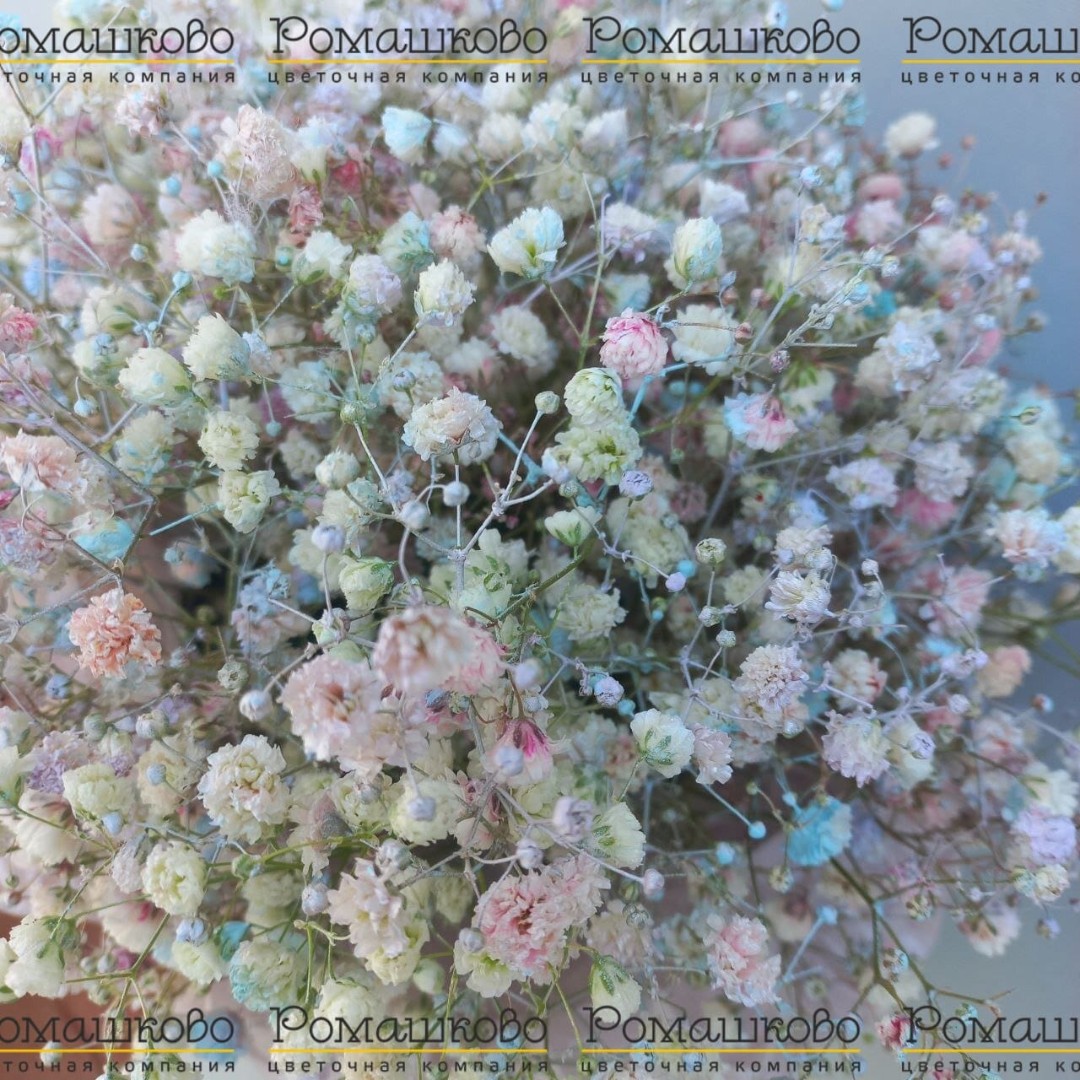 Букет из сухоцветов «Сухоцветный рай»