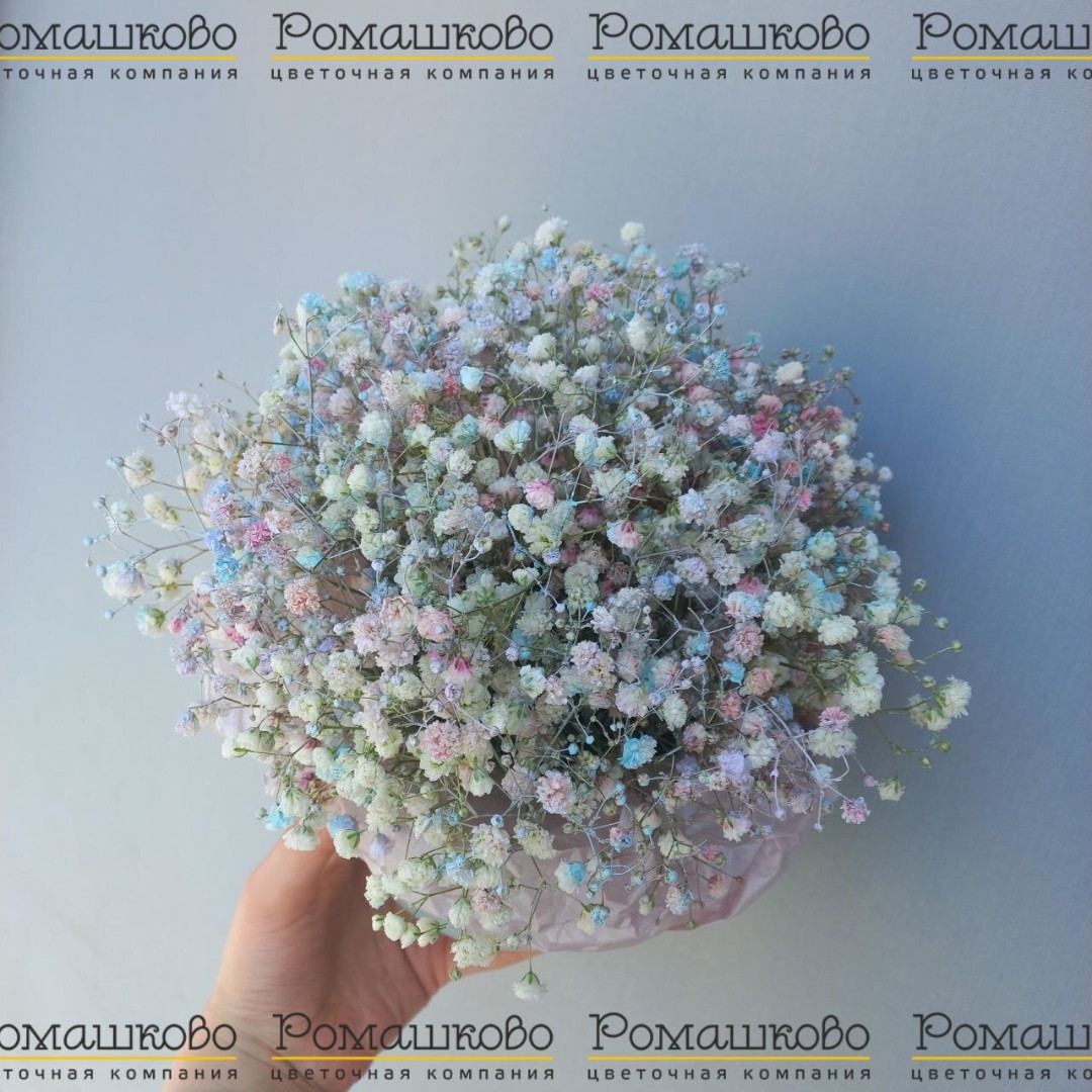 Букет из сухоцветов «Сухоцветный рай»