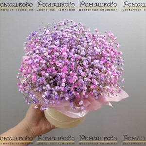 Превью Букет из сухоцветов «Цветы времени»