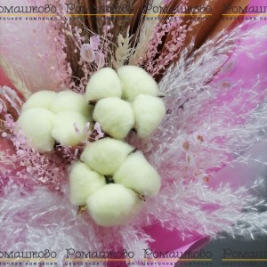 Превью Букет из сухоцветов «Чары природы»