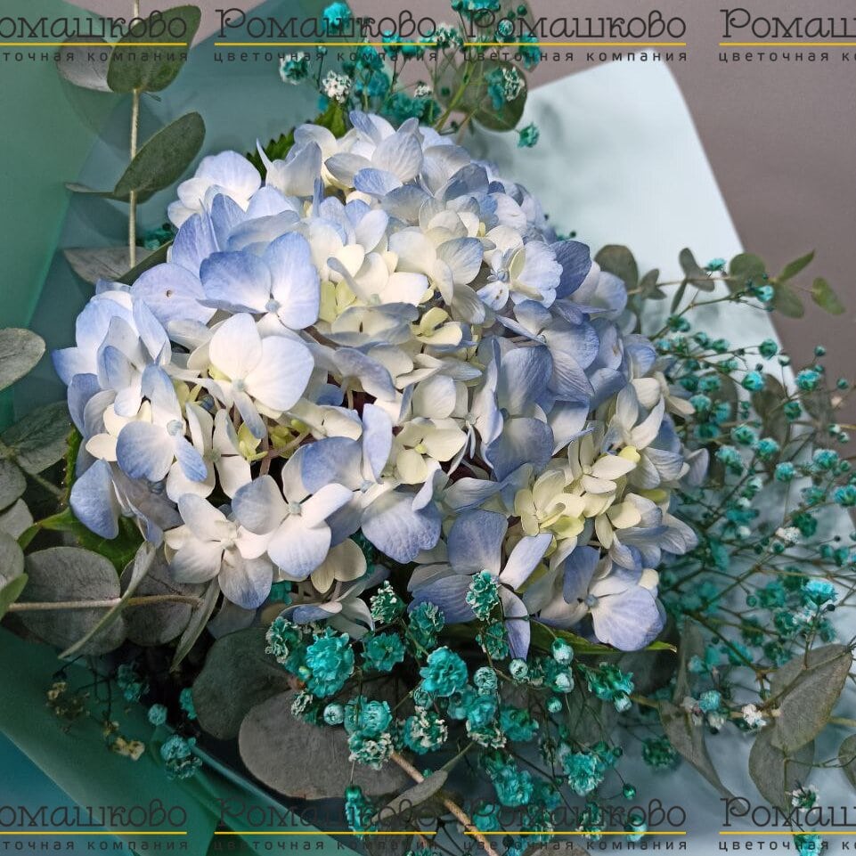 Букет из гортензии «Очарование в ладони»
