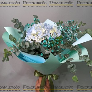 Превью Букет из гортензии «Очарование в ладони»