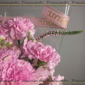 Превью Букет из гвоздик «Цветочные мелодии»