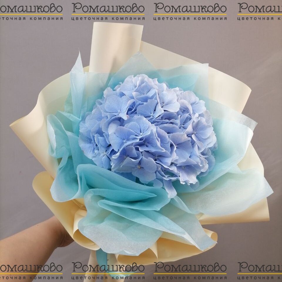 Мини-букет из гортензии «Нежный водопад»