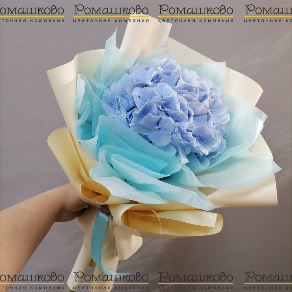 Мини-букет из гортензии «Нежный водопад»