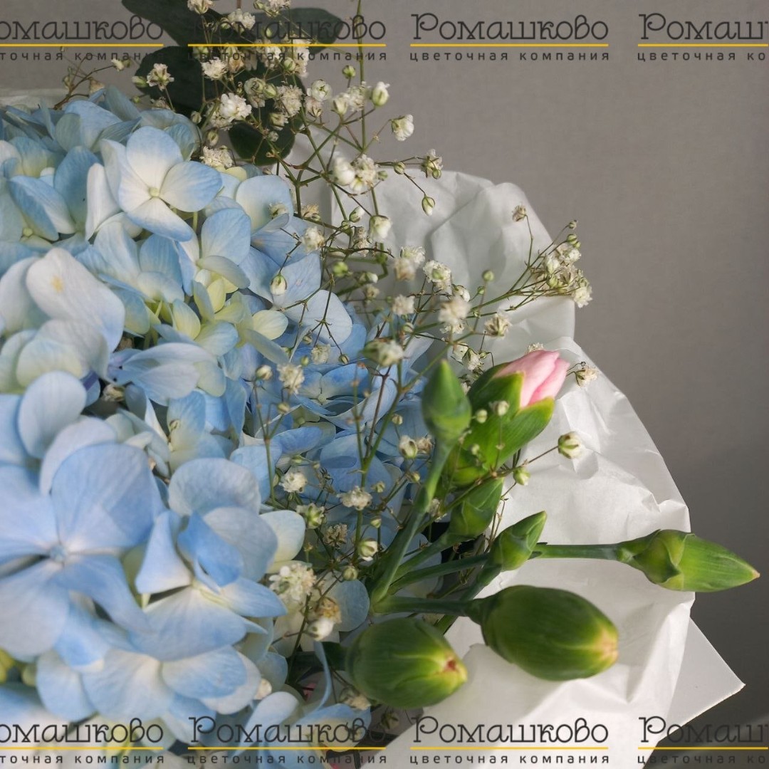 Букет из гортензии «Лунный цветок»
