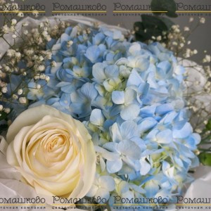 Превью Букет из гортензии «Лунный цветок»
