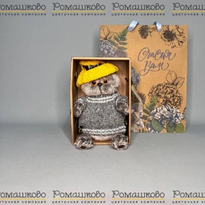 Превью Кот Басик в вязаном комплекте