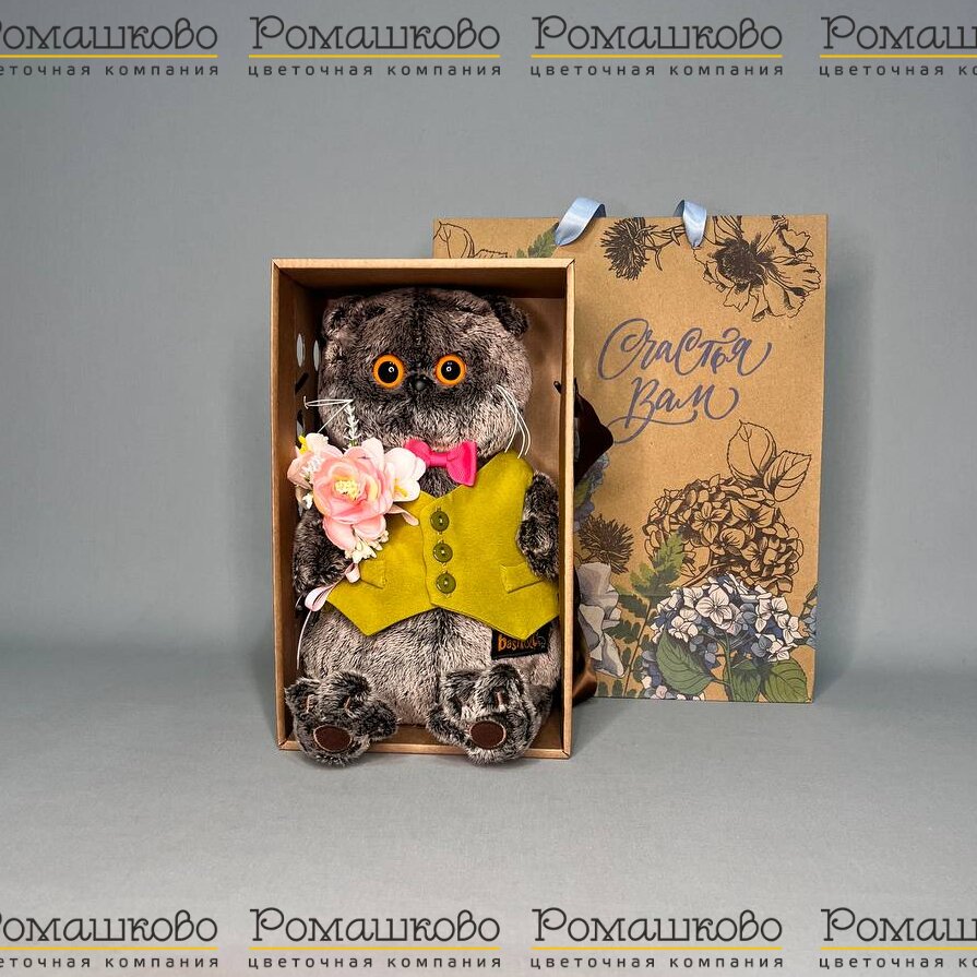 Кот Басик в жилете с букетом