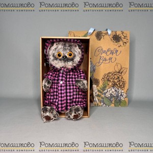 Превью Кот Басик в клетчатом плаще