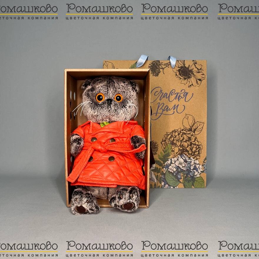 Кот Басик в стеганом польто