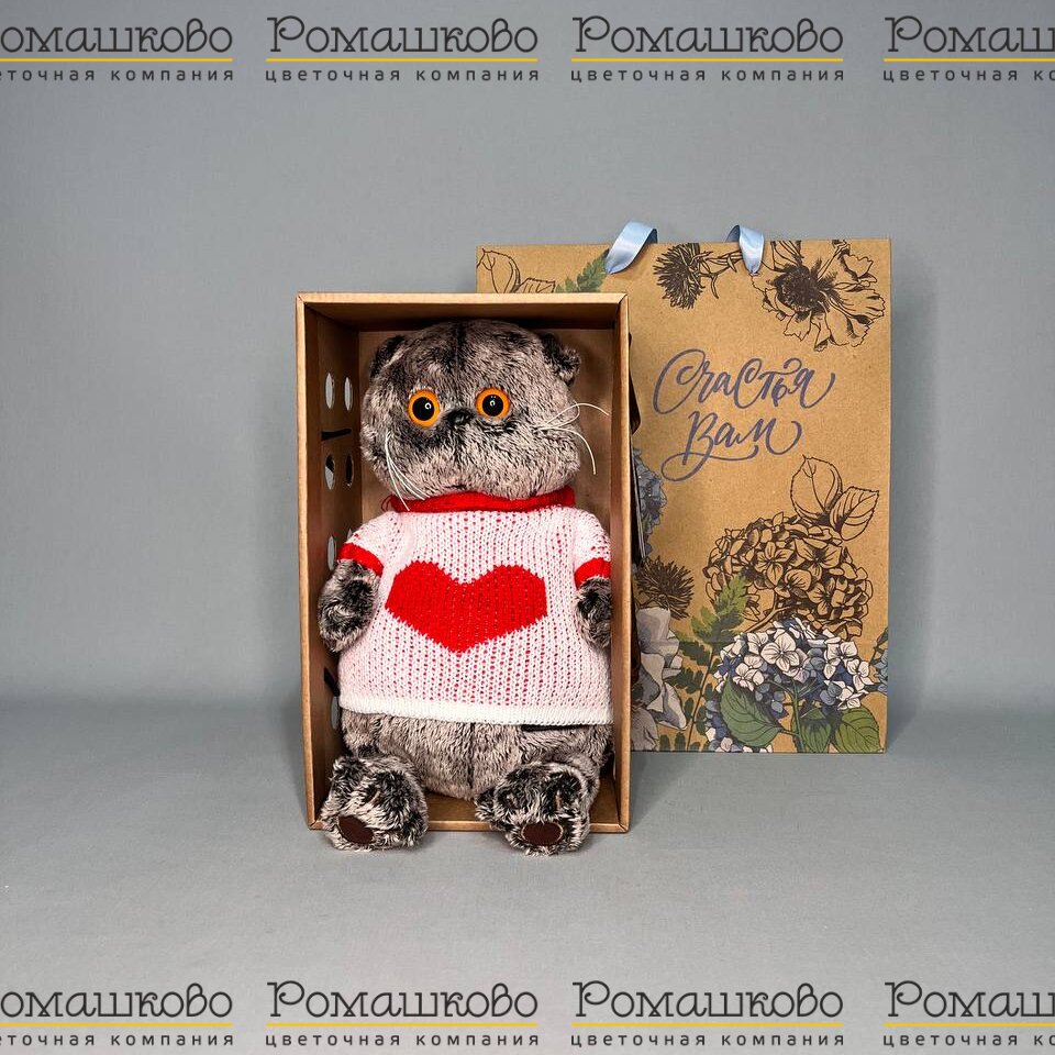 Кот Басик в свитере с сердцем