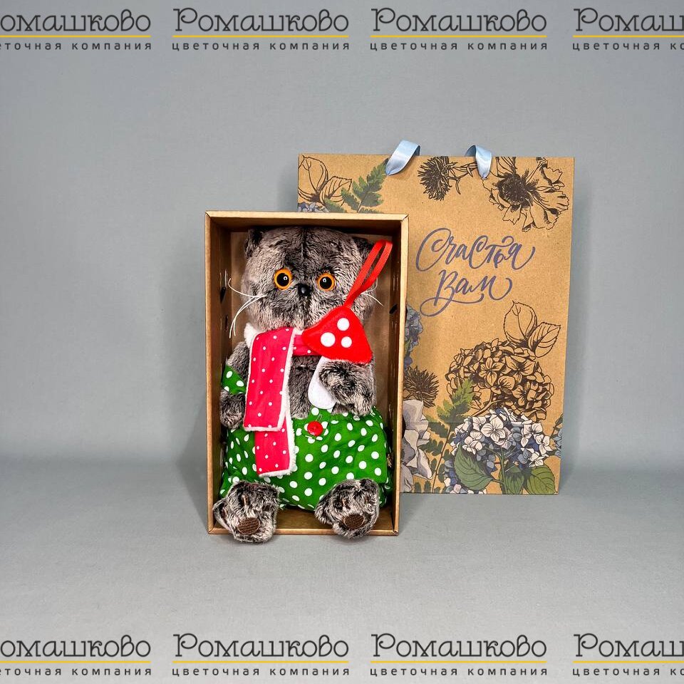 Кот Басик с мухомором