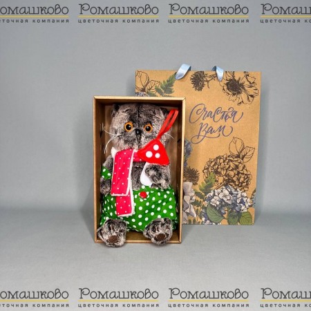 Кот Басик с мухомором