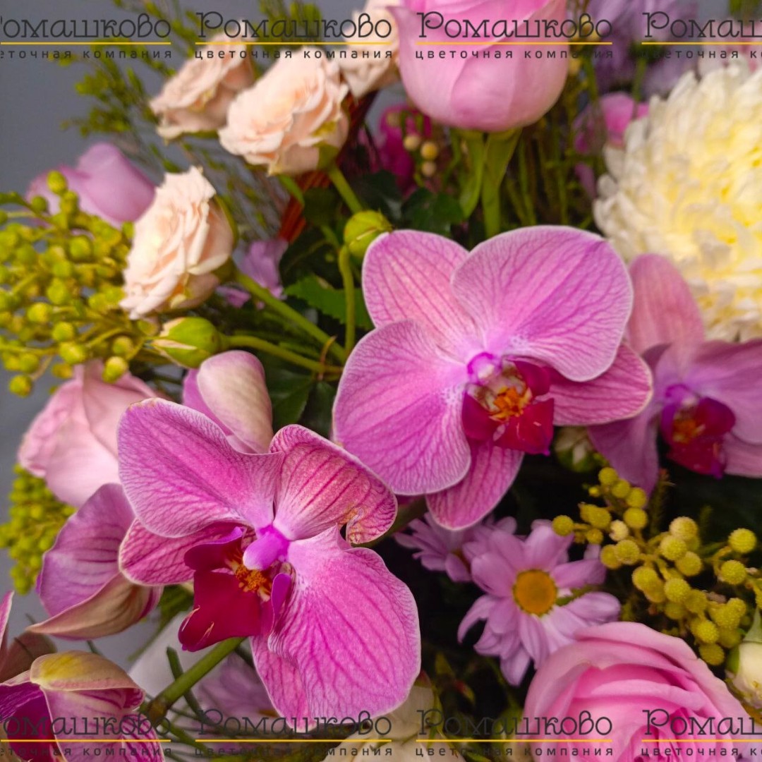 Корзина с цветами «Оазис орхидей»