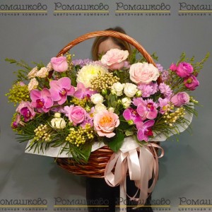 Превью Корзина с цветами «Оазис орхидей»