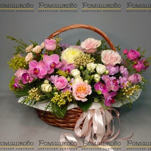 Превью Корзина с цветами «Оазис орхидей»