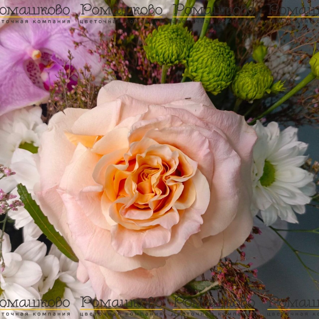 Корзина с цветами «Орхидейный шарм»