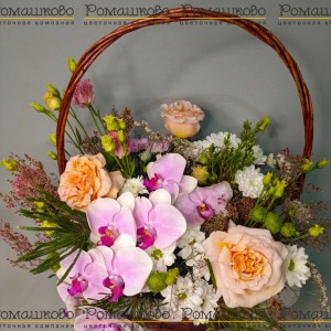 Превью Корзина с цветами «Орхидейный шарм»
