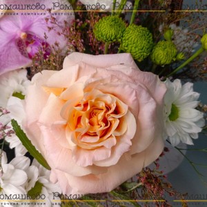 Превью Корзина с цветами «Орхидейный шарм»