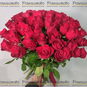 Превью Букет из 51 красных роз Кения (50см)