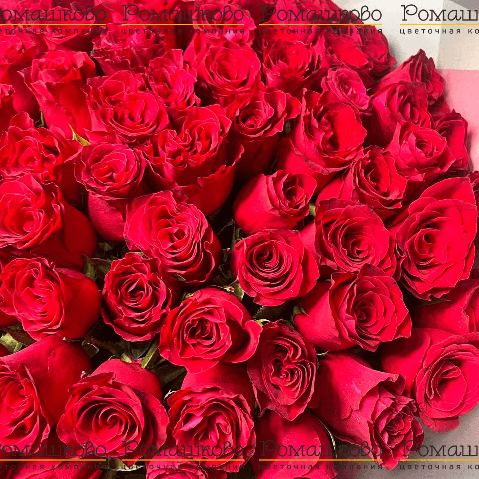 Букет из 101 красной розы Кения