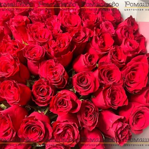 Превью Букет из 101 красной розы Кения