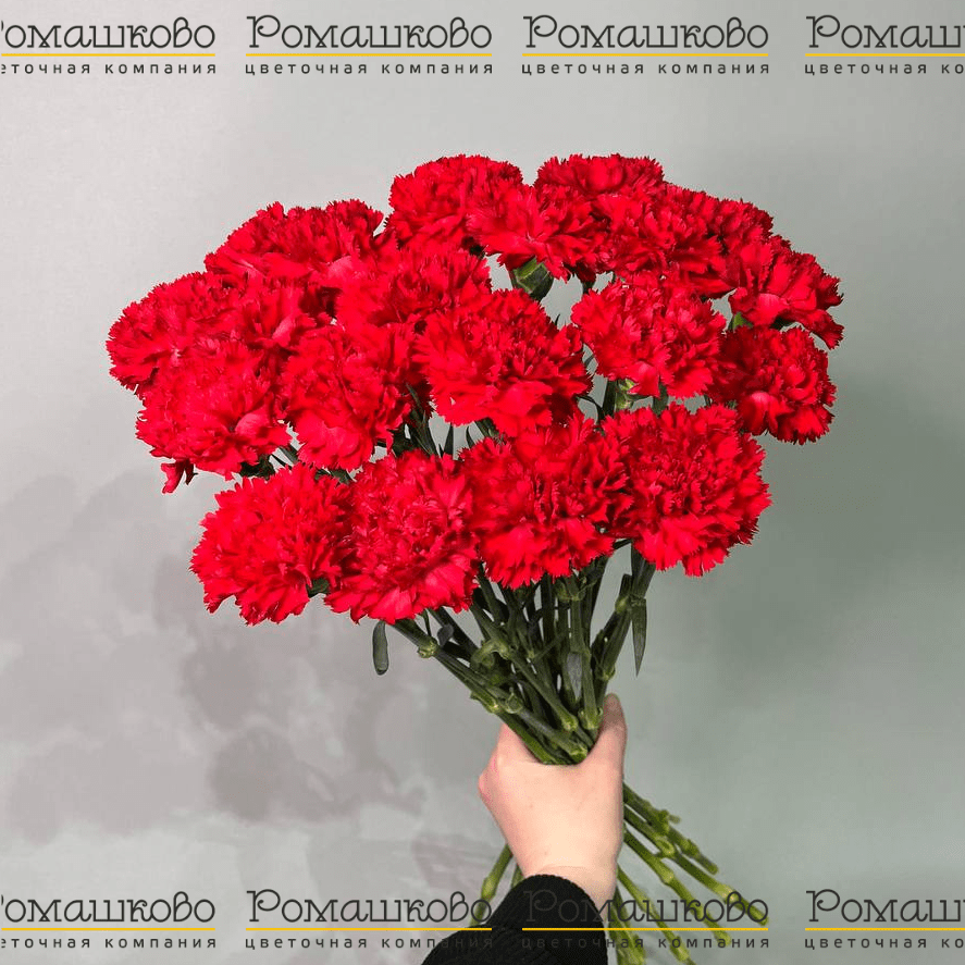 20 Красных гвоздик